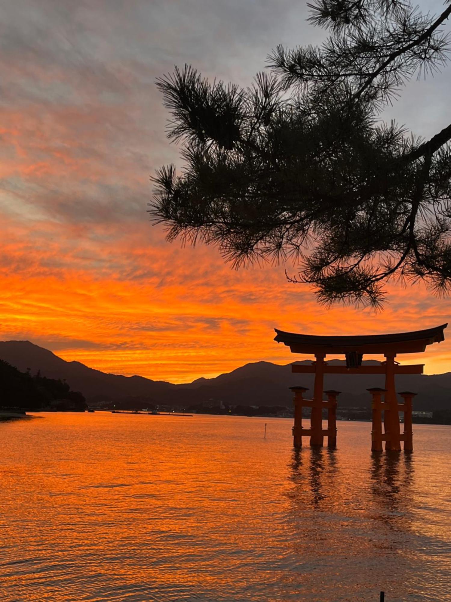 宮島 町家宿 進龍庵 Хацукаити Экстерьер фото